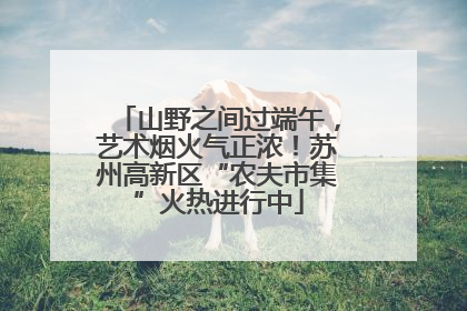 山野之间过端午，艺术烟火气正浓！苏州高新区“农夫市集”火热进行中