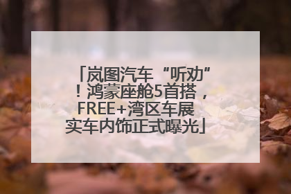 岚图汽车“听劝”！鸿蒙座舱5首搭，FREE+湾区车展实车内饰正式曝光
