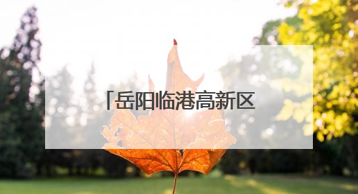 岳阳临港高新区冲刺国家级创建