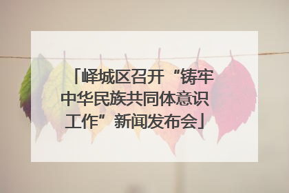 峄城区召开“铸牢中华民族共同体意识工作”新闻发布会
