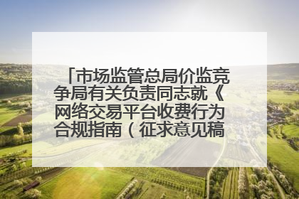市场监管总局价监竞争局有关负责同志就《网络交易平台收费行为合规指南（征求意见稿）》答记者问