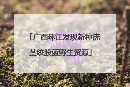 广西环江发现新种疣茎绞股蓝野生资源