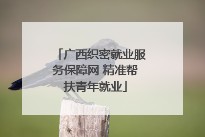 广西织密就业服务保障网 精准帮扶青年就业