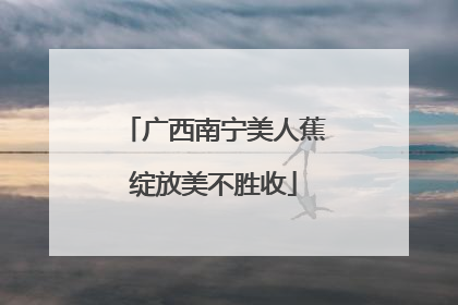 广西南宁美人蕉绽放美不胜收