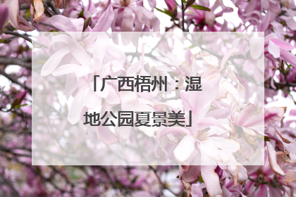 广西梧州：湿地公园夏景美