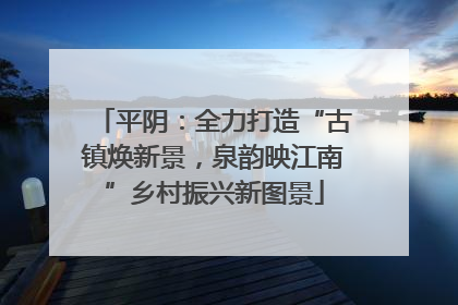 平阴：全力打造“古镇焕新景，泉韵映江南”乡村振兴新图景