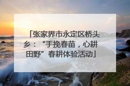 张家界市永定区桥头乡：“手挽春苗，心耕田野”春耕体验活动