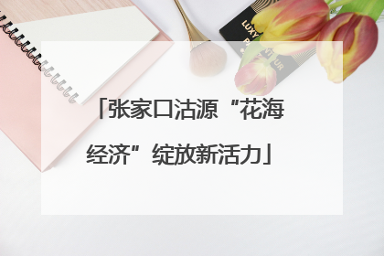 张家口沽源“花海经济”绽放新活力