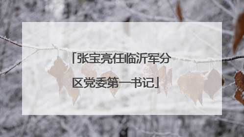 张宝亮任临沂军分区党委第一书记