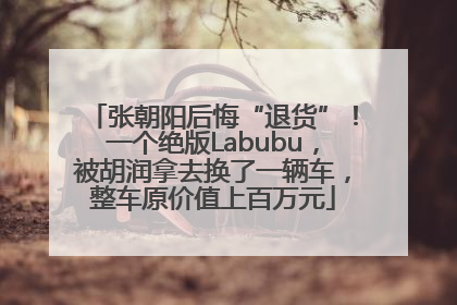张朝阳后悔“退货”！一个绝版Labubu，被胡润拿去换了一辆车，整车原价值上百万元