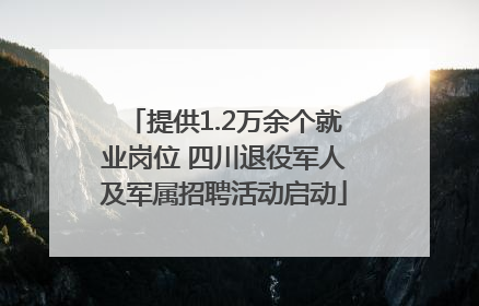 提供1.2万余个就业岗位 四川退役军人及军属招聘活动启动