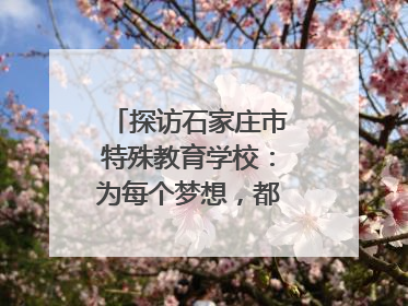探访石家庄市特殊教育学校：为每个梦想，都插上“翅膀”