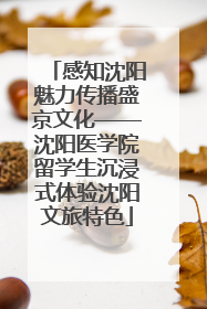 感知沈阳魅力传播盛京文化——沈阳医学院留学生沉浸式体验沈阳文旅特色