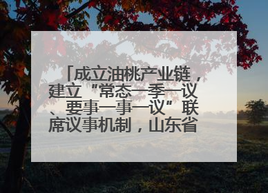 成立油桃产业链，建立“常态一季一议、要事一事一议”联席议事机制，山东省日照市莒县果庄镇——13个党小组“全周期”育果