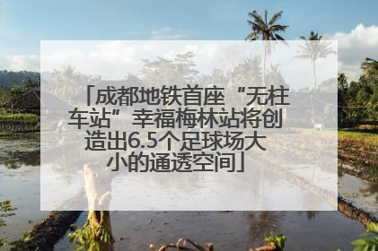 成都地铁首座“无柱车站”幸福梅林站将创造出6.5个足球场大小的通透空间