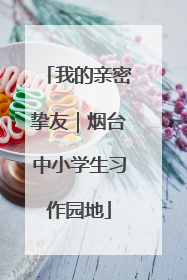 我的亲密挚友｜烟台中小学生习作园地