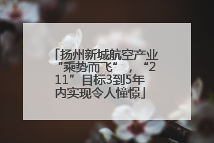 扬州新城航空产业“乘势而飞”，“211”目标3到5年内实现令人憧憬
