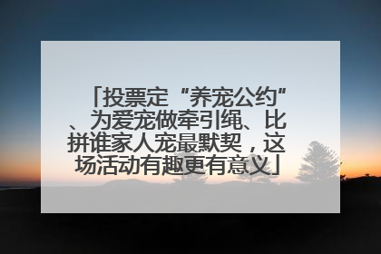 投票定“养宠公约”、为爱宠做牵引绳、比拼谁家人宠最默契，这场活动有趣更有意义