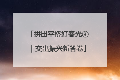 拼出平桥好春光③｜交出振兴新答卷