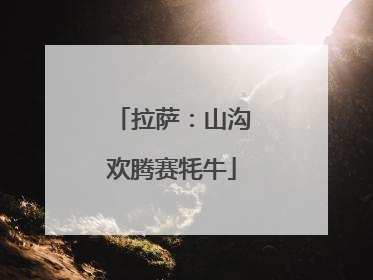 拉萨：山沟欢腾赛牦牛