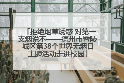 拒绝烟草诱惑 对第一支烟说不——德州市暨陵城区第38个世界无烟日主题活动走进校园