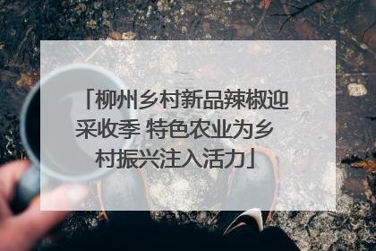柳州乡村新品辣椒迎采收季 特色农业为乡村振兴注入活力