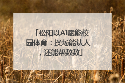 松阳以AI赋能校园体育：操场能认人，还能帮数数