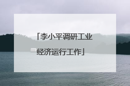 李小平调研工业经济运行工作