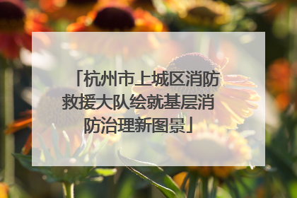 杭州市上城区消防救援大队绘就基层消防治理新图景