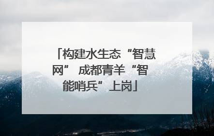 构建水生态“智慧网” 成都青羊“智能哨兵”上岗