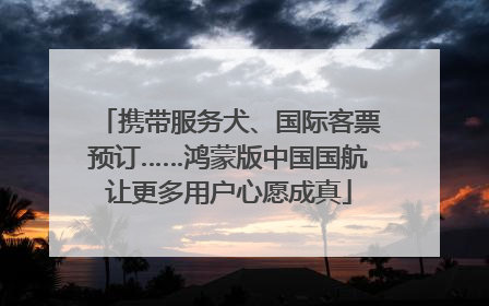 携带服务犬、国际客票预订……鸿蒙版中国国航让更多用户心愿成真