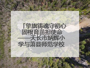 擎旗铸魂守初心 固根育苗担使命——天长市炳辉小学与萧县师范学校附属小学结对共建活动纪实