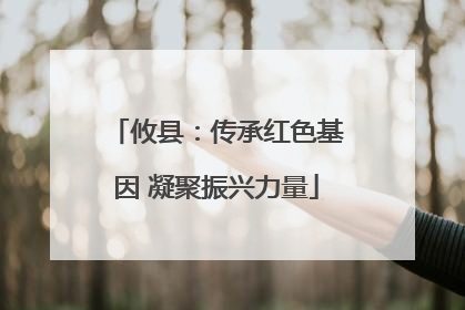攸县：传承红色基因 凝聚振兴力量