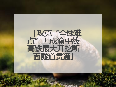 攻克“全线难点”！成渝中线高铁最大开挖断面隧道贯通