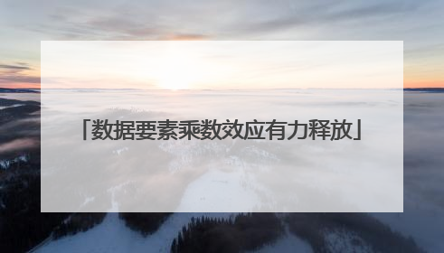 数据要素乘数效应有力释放