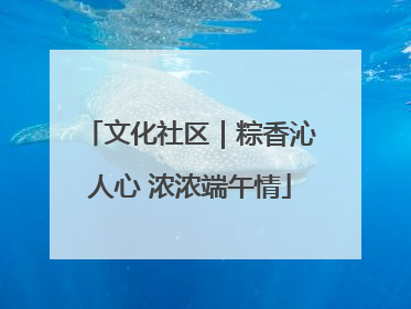 文化社区｜粽香沁人心 浓浓端午情