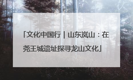 文化中国行｜山东岚山：在尧王城遗址探寻龙山文化