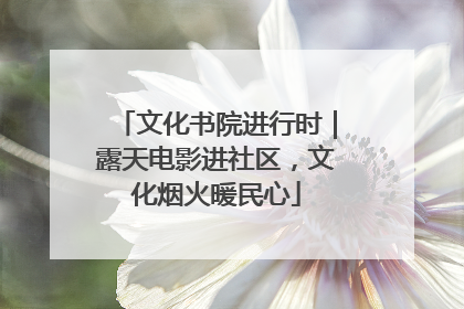 文化书院进行时|露天电影进社区,文化烟火暖民心