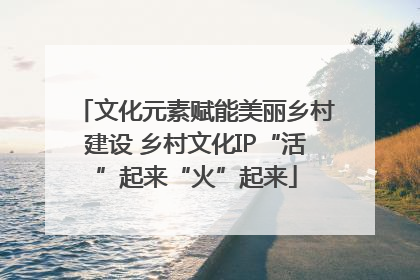 文化元素赋能美丽乡村建设 乡村文化IP“活”起来“火”起来
