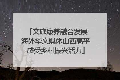 文旅康养融合发展 海外华文媒体山西高平感受乡村振兴活力