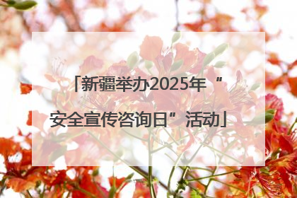 新疆举办2025年“安全宣传咨询日”活动