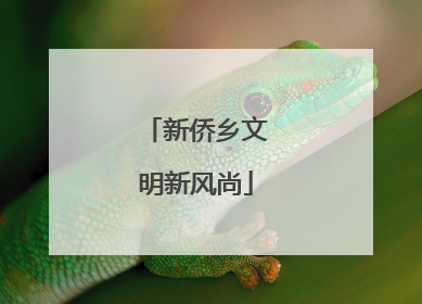 新侨乡文明新风尚