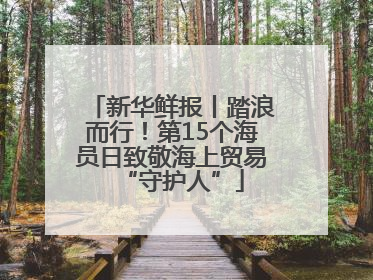 新华鲜报丨踏浪而行！第15个海员日致敬海上贸易“守护人”