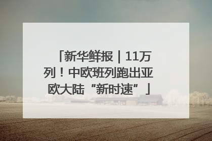 新华鲜报｜11万列！中欧班列跑出亚欧大陆“新时速”