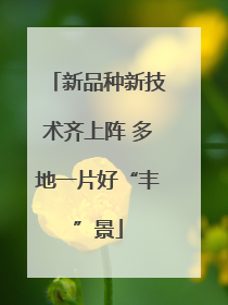 新品种新技术齐上阵 多地一片好“丰”景