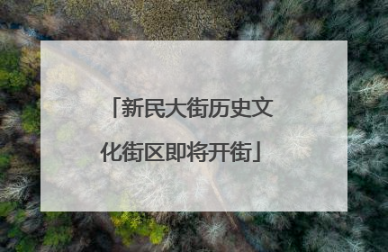 新民大街历史文化街区即将开街