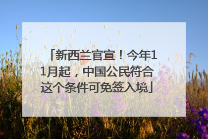 新西兰官宣！今年11月起，中国公民符合这个条件可免签入境