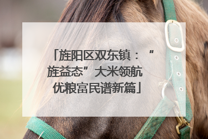 旌阳区双东镇：“旌益态”大米领航 优粮富民谱新篇