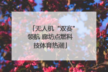 无人机“双赛”领航 廊坊点燃科技体育热潮