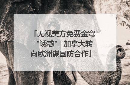 无视美方免费金穹“诱惑” 加拿大转向欧洲谋国防合作